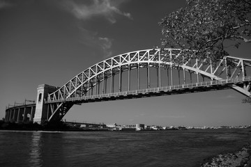 The Hell Gate Bridge over the river and branches in black and white style, New York