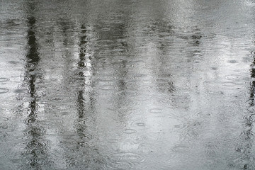 Fototapeta na wymiar ripple on water surface in the rain with tree reflection