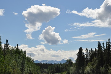 Alaska Sky