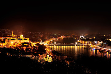 Fototapeta premium 夜のドナウ川