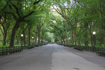 Walkway and light pole at Central Park around with trees in summer, New York