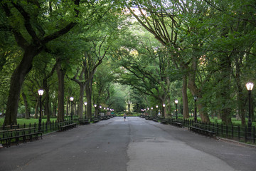 Walkway at Central Park around trees in summer, New York