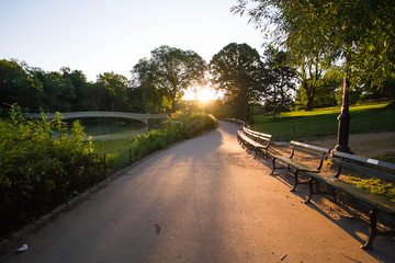 Obraz premium Walkway and park bench next to Bow bridge at Central Park with sunrise