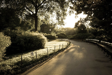 Walkway at the park with daylight in old vintage style, Central Park