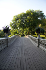 Bow bridge pathway and trees at Central Park in perspective view