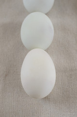 Egg of chicken on fabric,selective focus