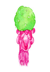 Cactus flower, watercolor hand-drawn opuntia blossom