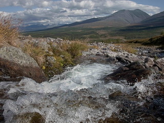 Clean pure water mountain water river brooks lakes