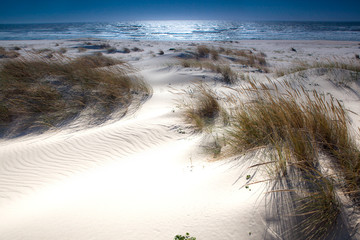 White dunes of Sao Jacinto, Aveiro, Portugal. Pt.IV