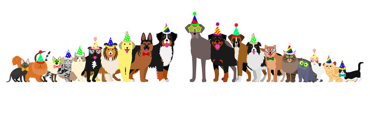 Border of dogs and cats arranged in order of height