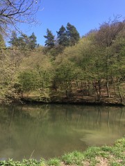 Fototapeta na wymiar Frühling am Teich