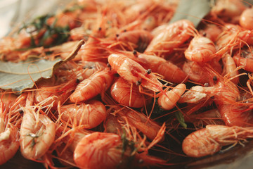 Boiled Black Sea Shrimps