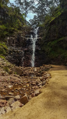splinter falls