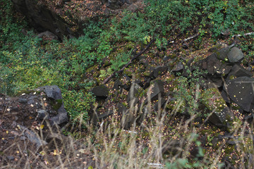 The bottom of the artificial canyon in the autumn forest.