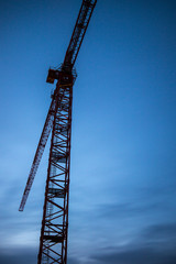 Looking Up at a Crane