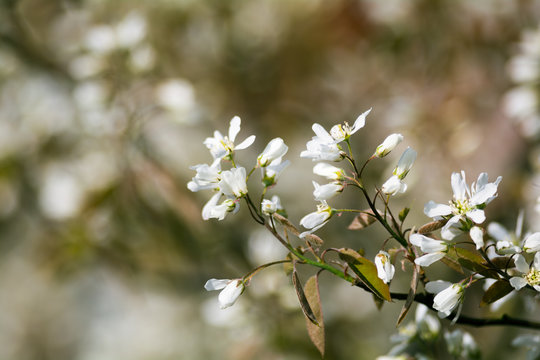 Spring is in the air