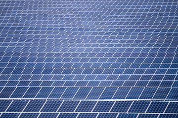 Field of solar panels