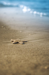 Goa is a state in the south-west of India