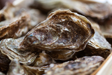 Bouriche d'huîtres