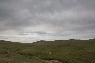 Die mongolische Steppe