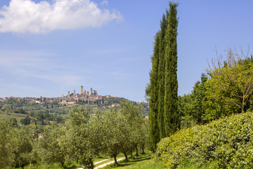 Fototapeta na wymiar San Gimignano with vineyards