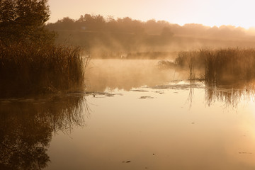 A misty morning by the lake. Space for text.