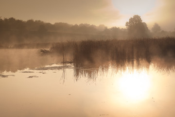 Fototapeta premium A misty morning by the lake. Space for text.