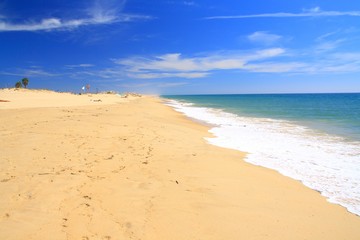 Beautiful sandy beach with sunbathing tourists in Algarve, Portugal