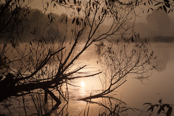 A misty morning by the lake. Silhouettes of trees