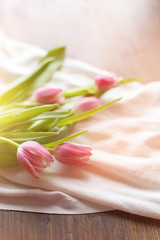 Pink tulips on white fabric, lit by the rays of the setting sun