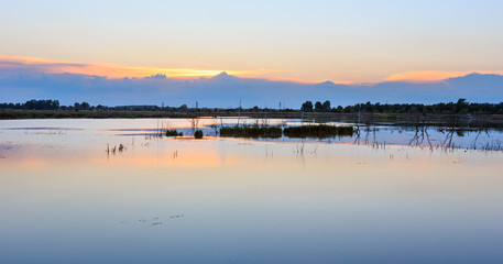 Evening summer lake landscape.