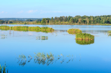 Evening summer lake landscape.