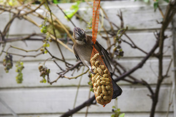 Mealtime