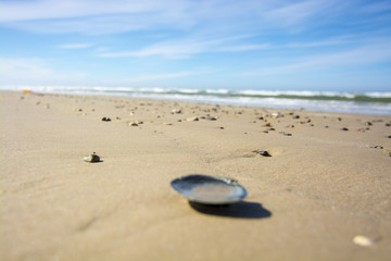 Fototapeta na wymiar Small peebles on a sandy beach