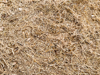 Straw texture background