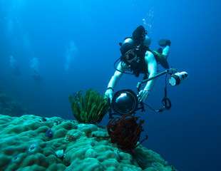 Underwater photographer, Raja Ampat. Indonesia. 