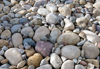 Pebbles of different size and shape, summer garden