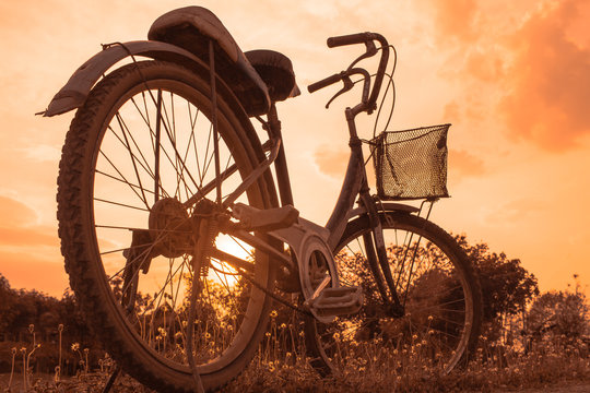 old bicycle style at summer grass field, beautiful landscape with sunset