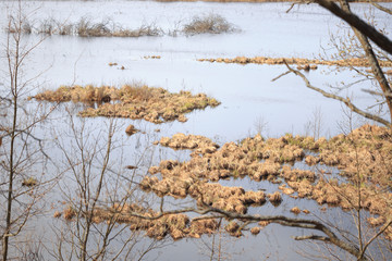 Meadow flooded with water during the spring flood