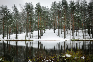 Winter forest landscape. Pine trees reflecting in the water of lake.