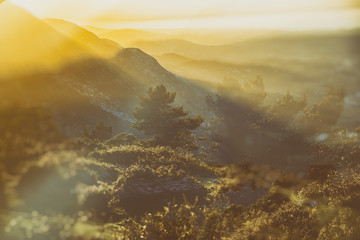 Abstract double exposure mountain sunset and nature concept - analog vintage look