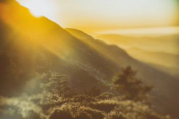 Abstract double exposure mountain sunset and nature concept - analog vintage look