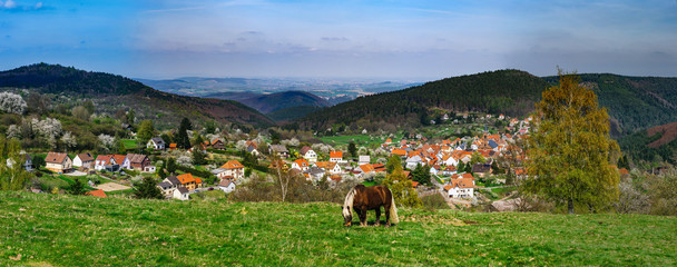 Fototapeta na wymiar Brabancon belgian horse on the farmland, Alsace, France