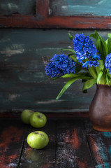 Blue hyacinths in a brown pot with green apples on a green and red background