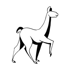 Vector image with llama's movement