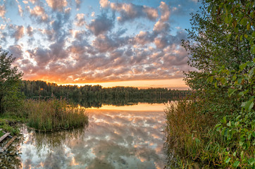Svetloyar Lake with bush in foreground and forest along bank reflecting in calm water at sunset. Vladimirskoe village, Nizhegorodsky region, Russia.

