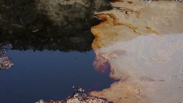 The former dump toxic waste in Ostrava, oil lagoon, nature effects from water and soil contaminated with oil and chemicals, environmental disaster, contamination of the environment, Moravia