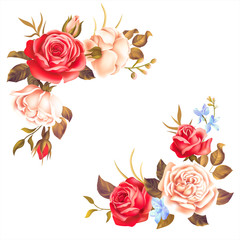 Borders with white and red roses on white background. Vector illustration.