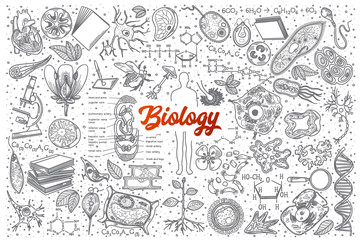 Hand drawn Biology doodle set background with red lettering in vector - obrazy, fototapety, plakaty