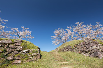 春の赤木城跡